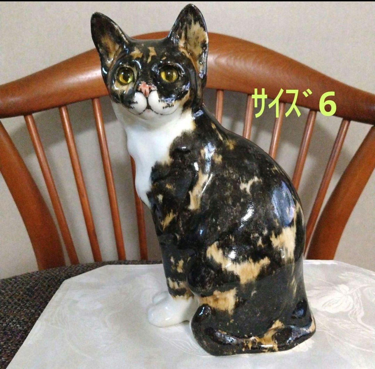 ウィンスタンレイ(ケンジントンキャット)サイズ6の大きな子 キリッとした顔立ち ウィンスタンレイキャット（ケンジントンキャット）サイズ6の