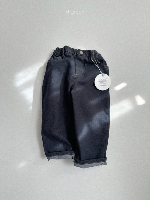 digreen［取寄］standard denim pants 26spring