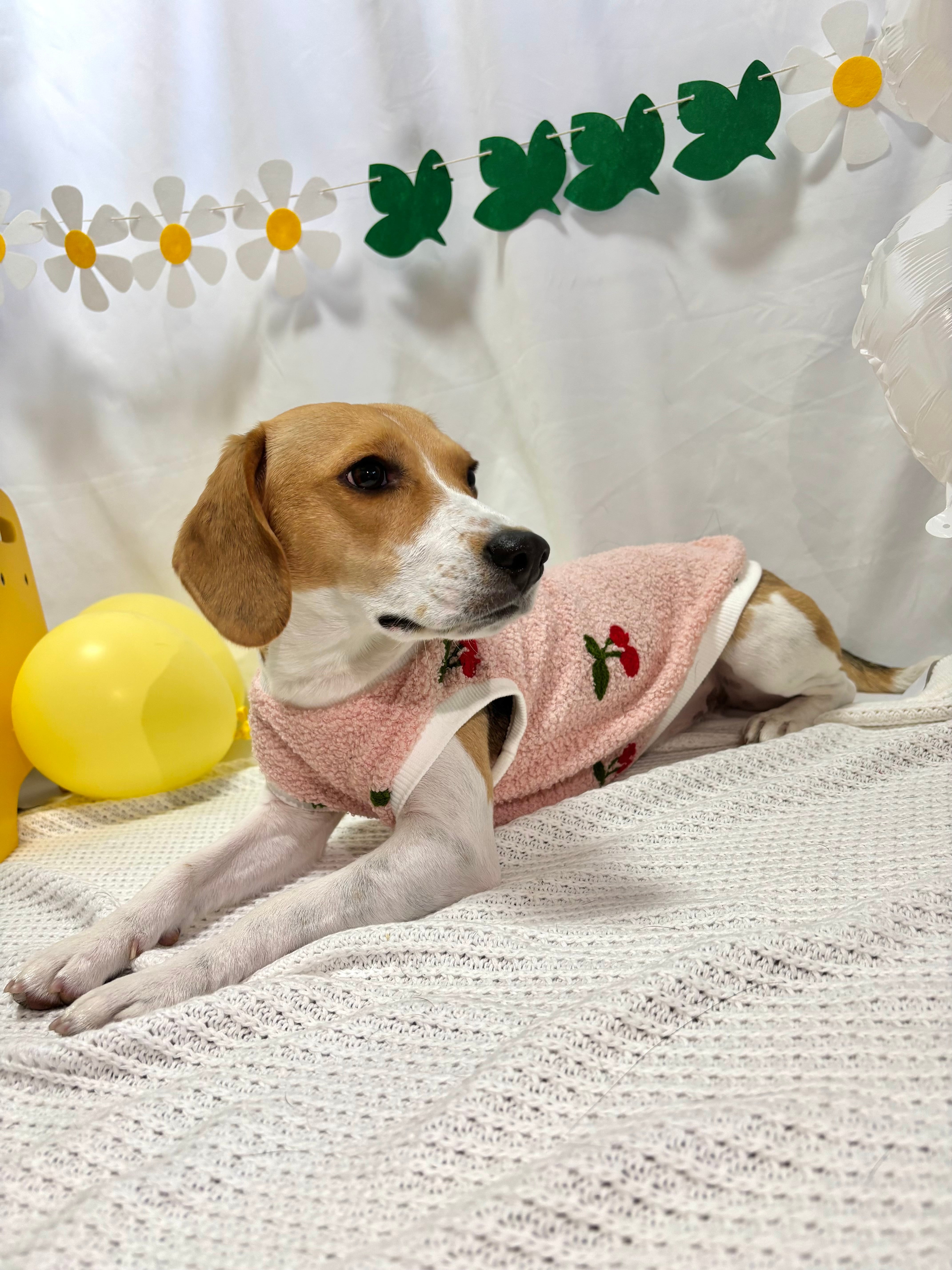 ピンクさくらんぼボアトップス