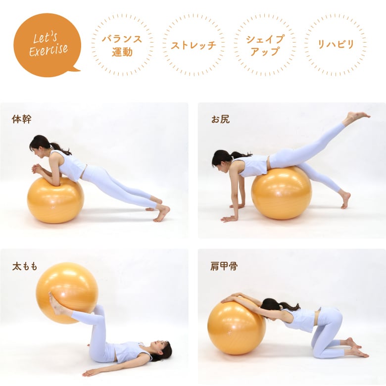 エクササイズボール65cm WBF065 | ALINCO FITNESS