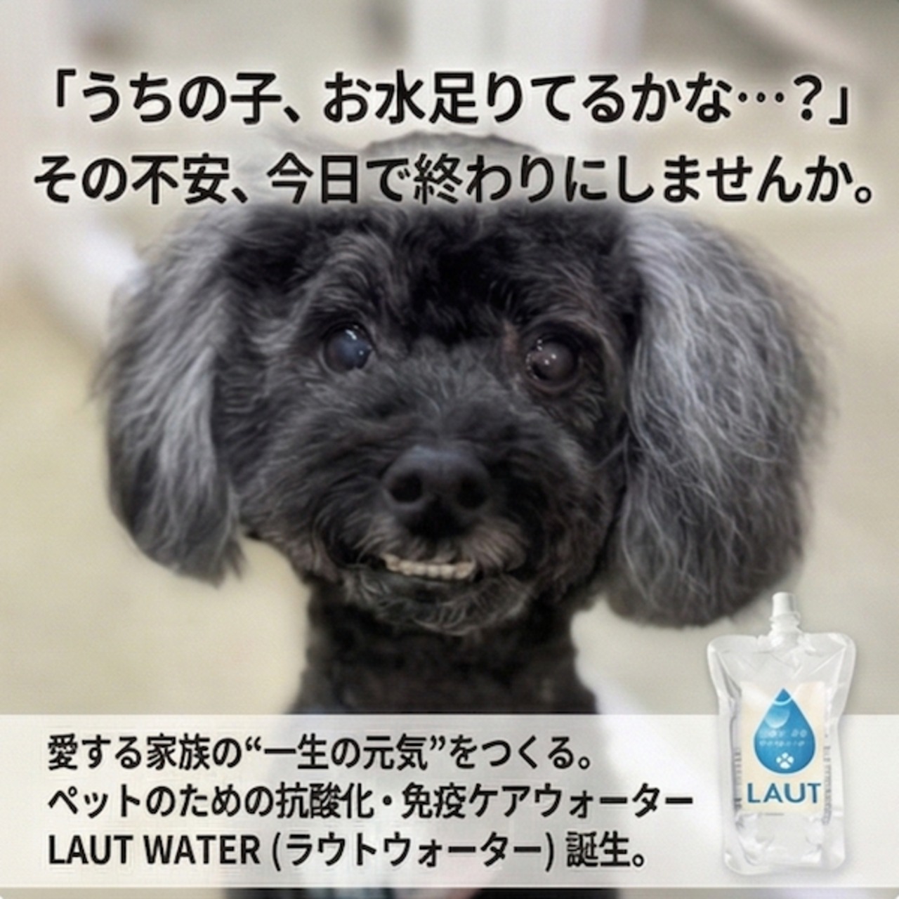 抗酸化・免疫ケアウォーター[お試し3本セット]