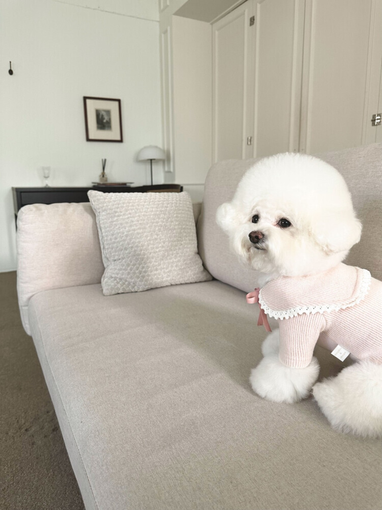 即納【chouchou&chourr】SAILOR WARMER KNIT (pink)