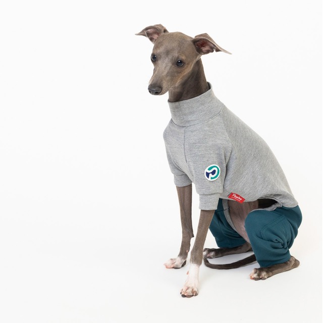 ５スリーブロンパース（5分丈） gray × green  / イタグレ服