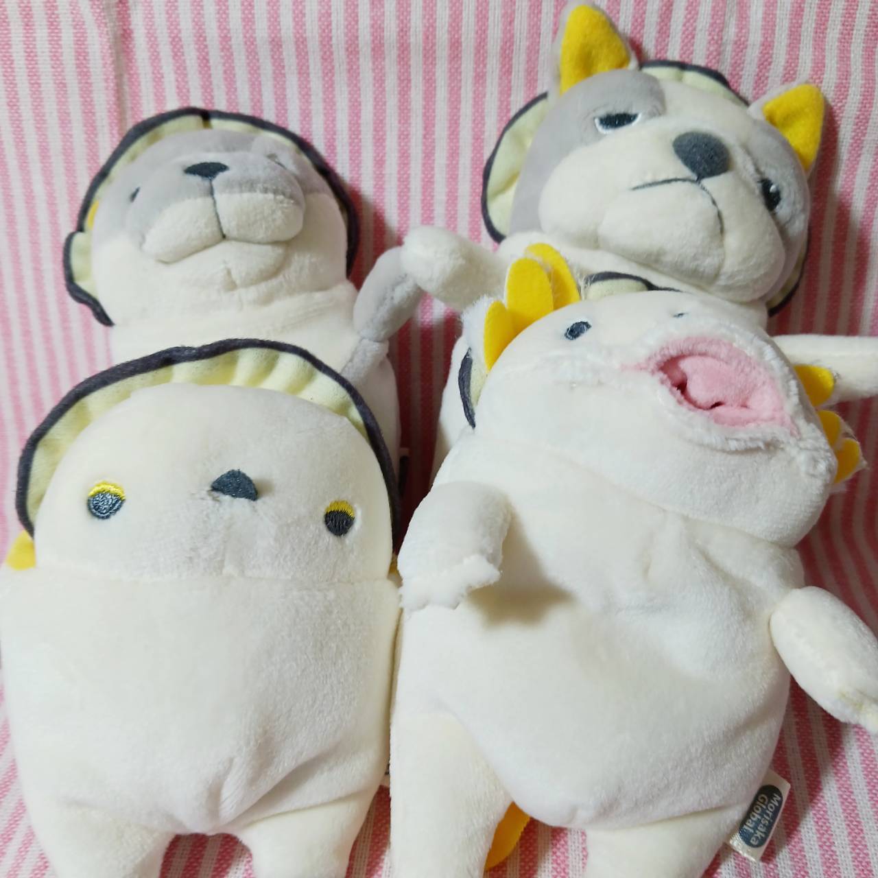 もちシリーズ 牡蠣 カワウソ | TORCH-Online Shop-