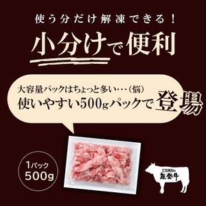 能登牛スジ（単品）送料別【BASE-47】【冷凍便】