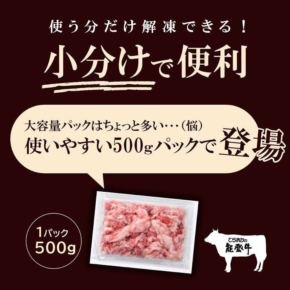 能登牛スジ（単品）送料別【BASE-47】【冷凍便】