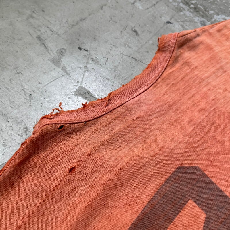 60's HANESPORT ヘインズスポーツ C.C.268 染込みプリントTee