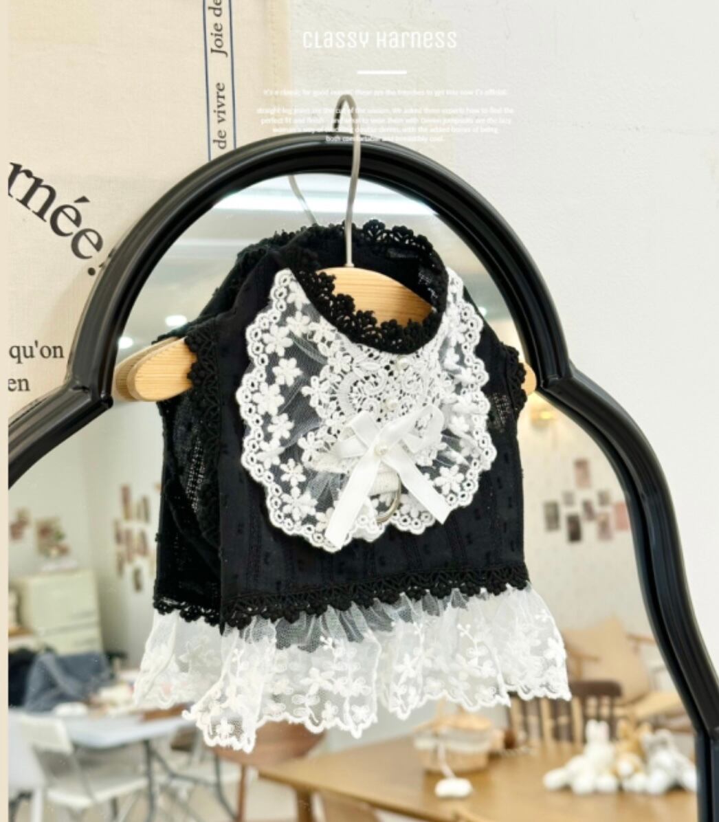 《予約》№Z0252 Classy Harness