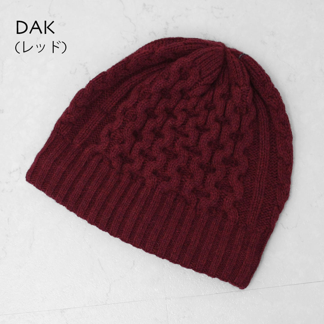 Patagonia [パタゴニア正規代理店] Coastal Cable Beanie [28997