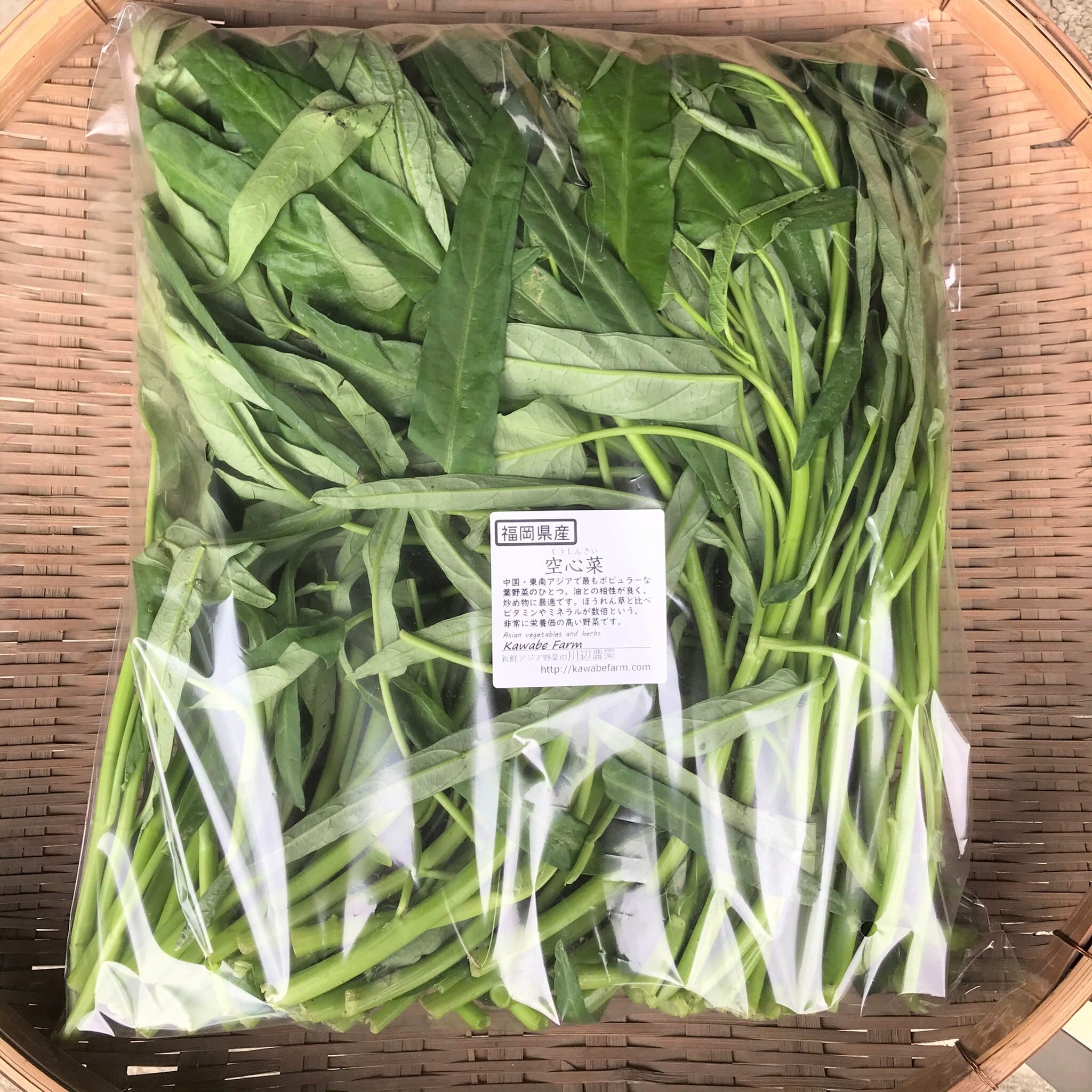 空心菜 jiayue1107キロ 空芯菜 業務用1㎏バラ詰め／中国野菜 | 川辺農園
