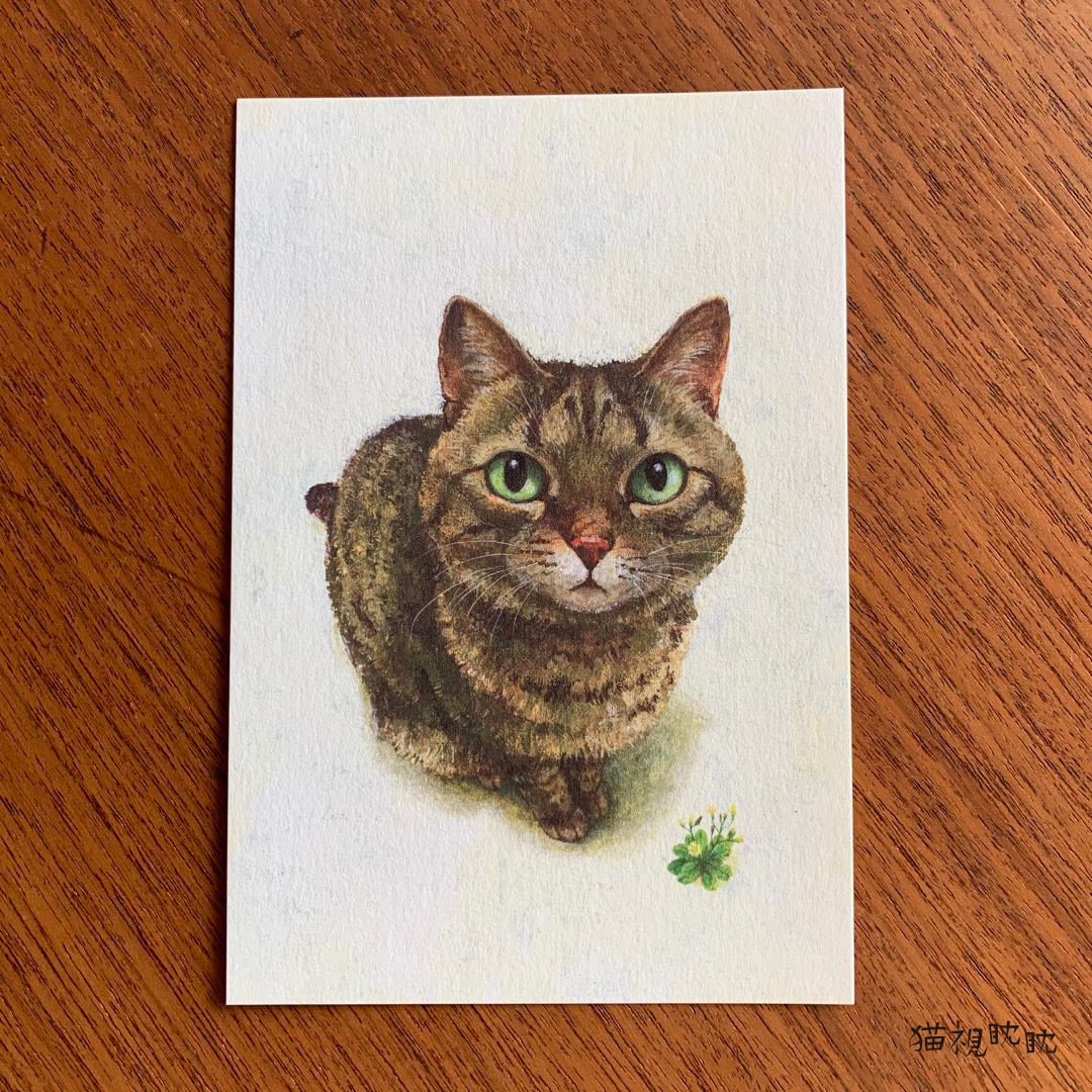 町田尚子『なまえのないねこ』ポストカード3種 | erimaki