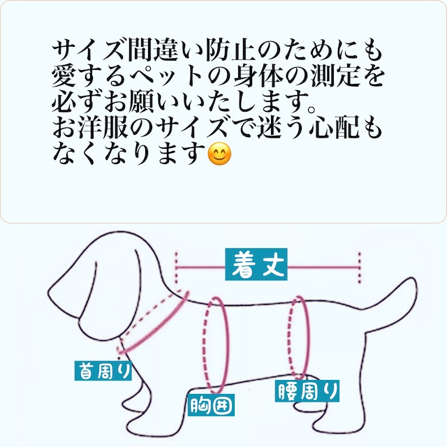 リード付きチェック柄ハーネスセット【即納商品】