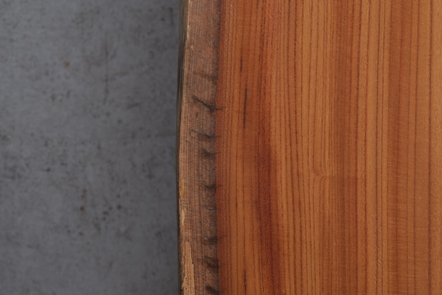 欅 Japanese Zelkova