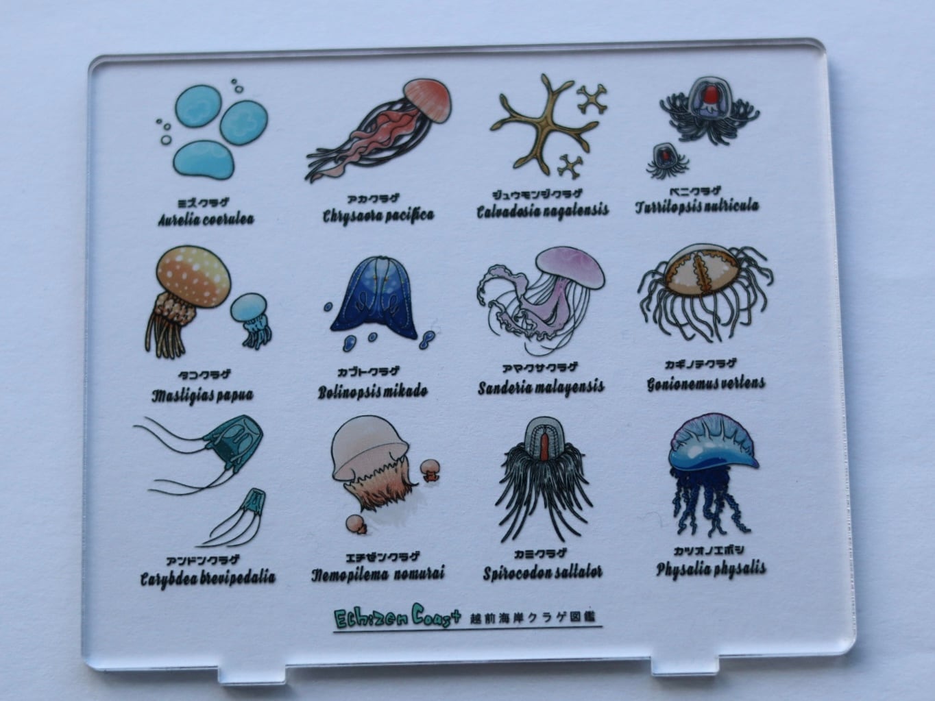 0416bc3f8d49402965dc1324d90325