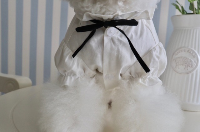 《予約》HI0009 Classic Blouse