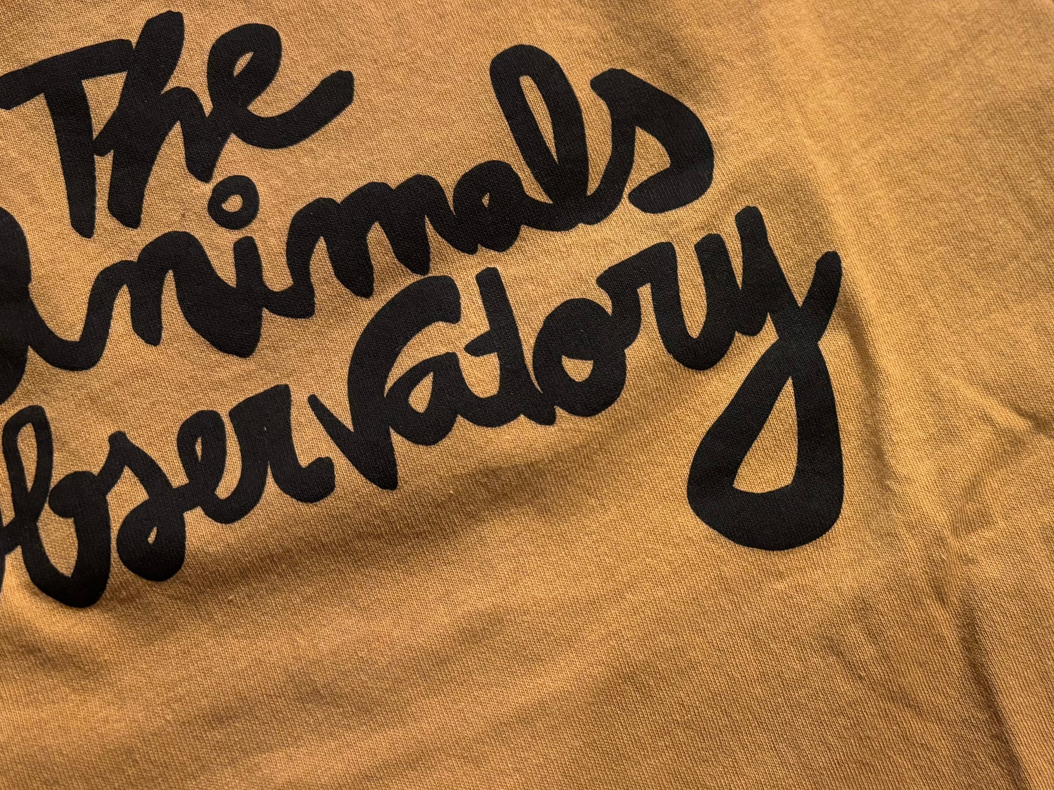 26SS】the animals observatory(TAO)ROOSTER KID T-SHIRT CAMEL(4y/6y