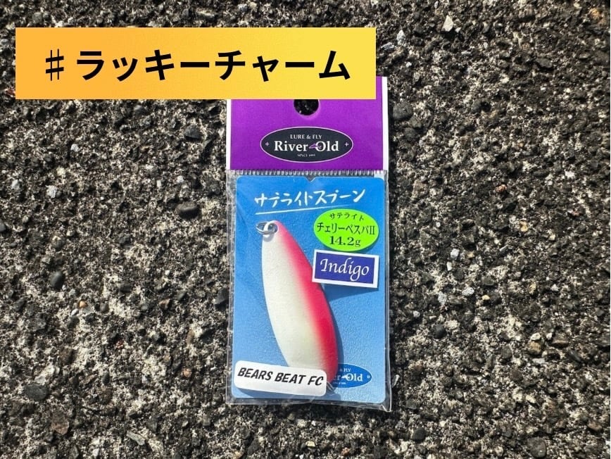 チェリーページ サテライト. チェリーベスパ Indigo SP 14.2g | ほその釣具店