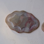 雲のようなお花のケース