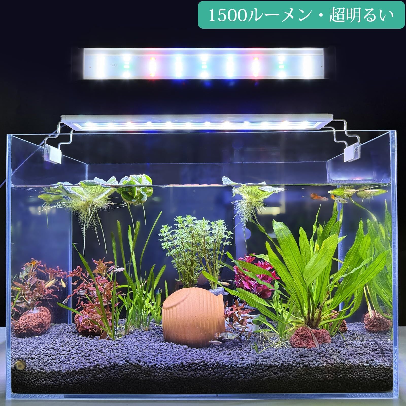 熱帯魚・爬虫類・植物育成などLED照明 人気商品】FEDOURフルスペクトル水槽照明LEDライト：タイマー付き
