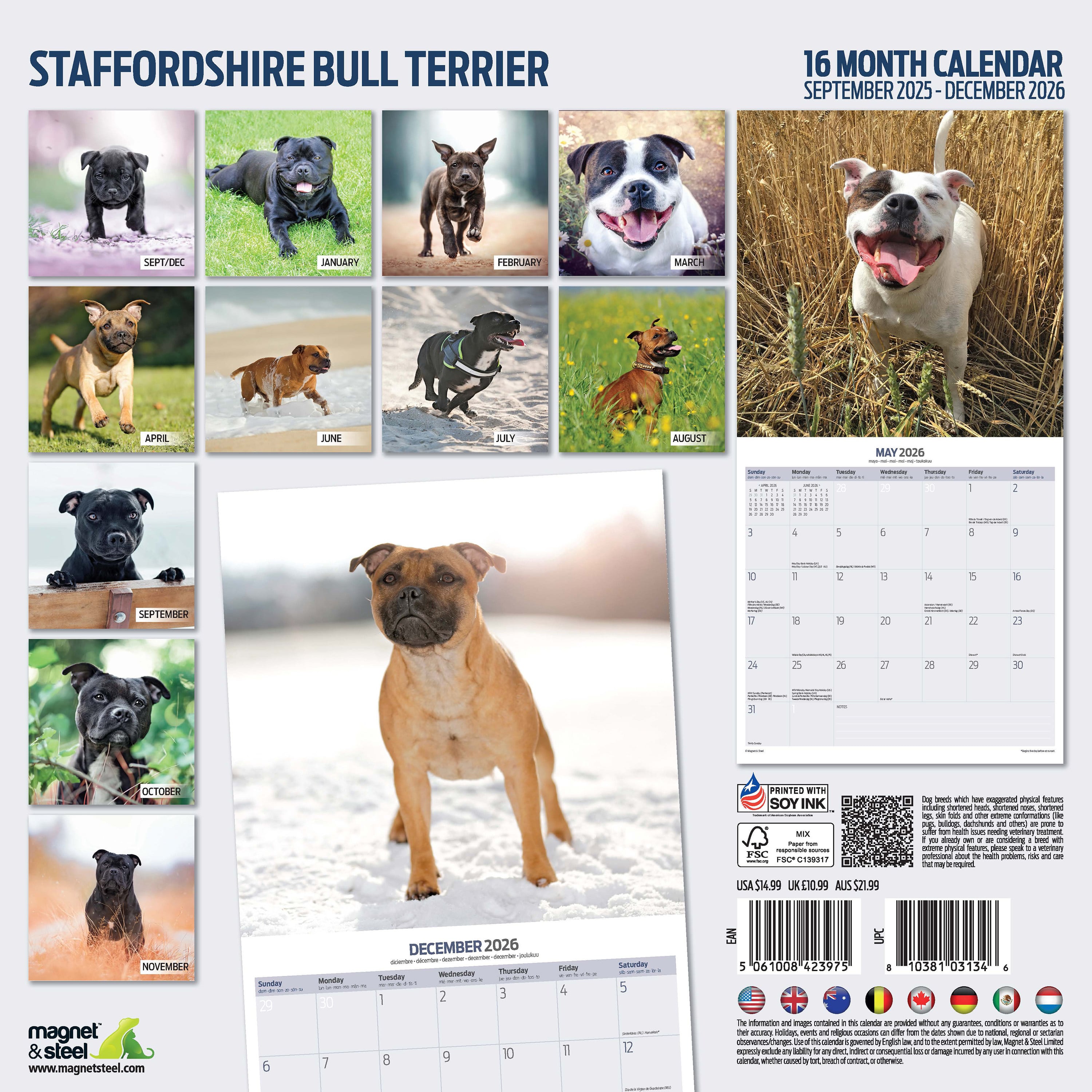【2026年版】英国製犬種カレンダー【スタフォードシャー・ブルテリア Traditional】 2026年版
