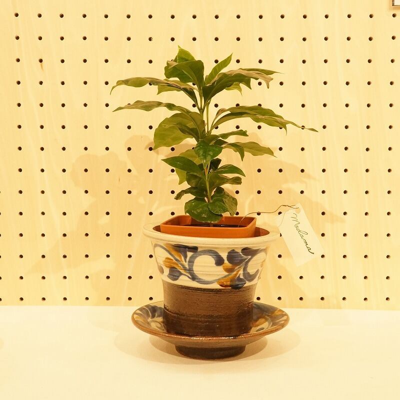 やちむん 植木鉢 サイズ大 やちむん 植木鉢 サイズ大 やちむん 沖縄の