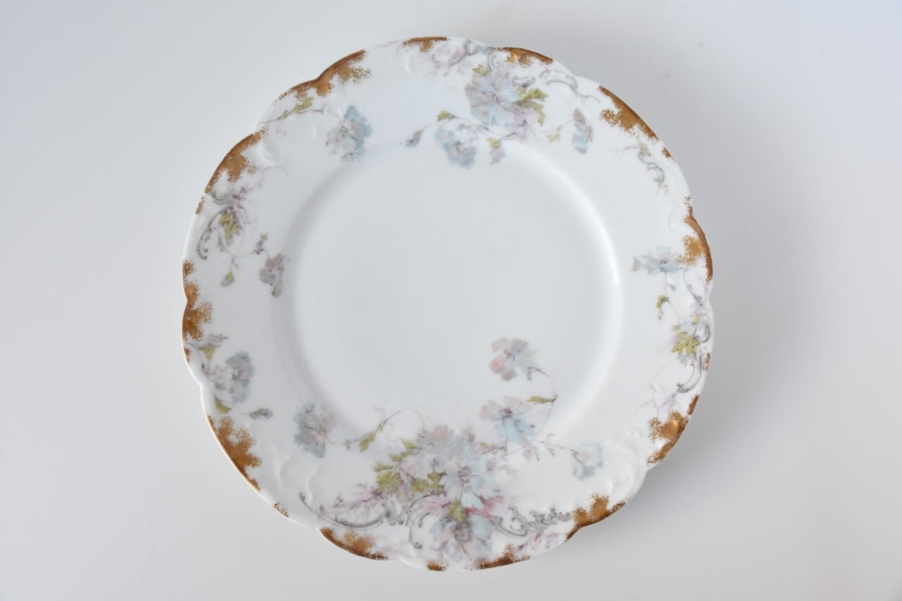 Limoges / リモージュ / お花柄のディナープレート / B | destrucs
