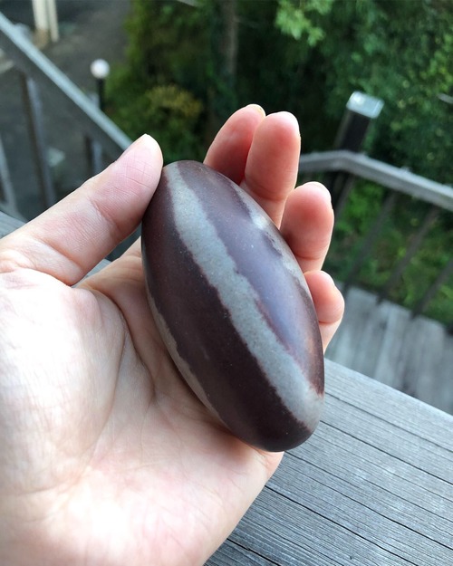 私の肉体という社