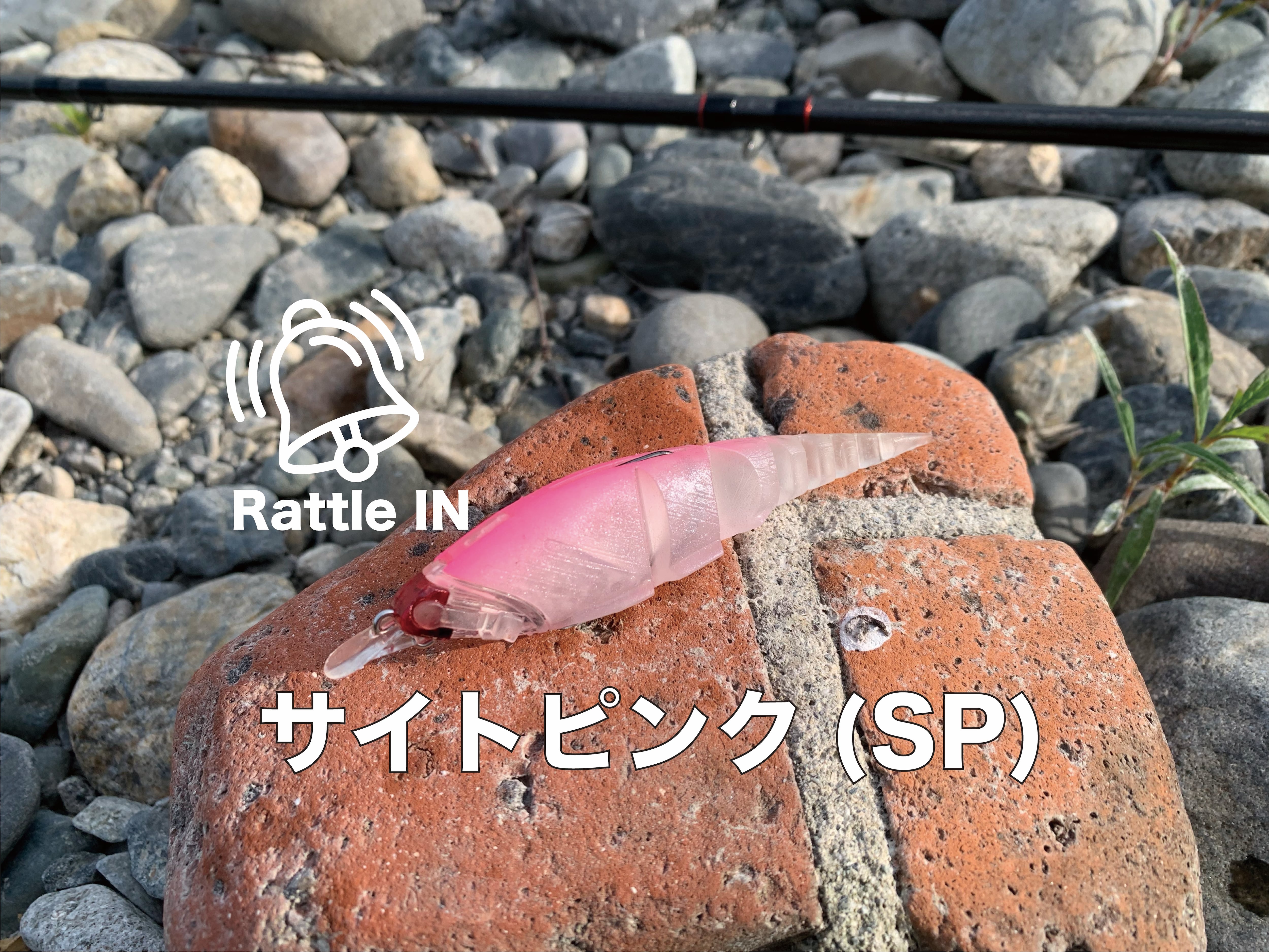 β-MINNOW（Rattle IN） | TTT
