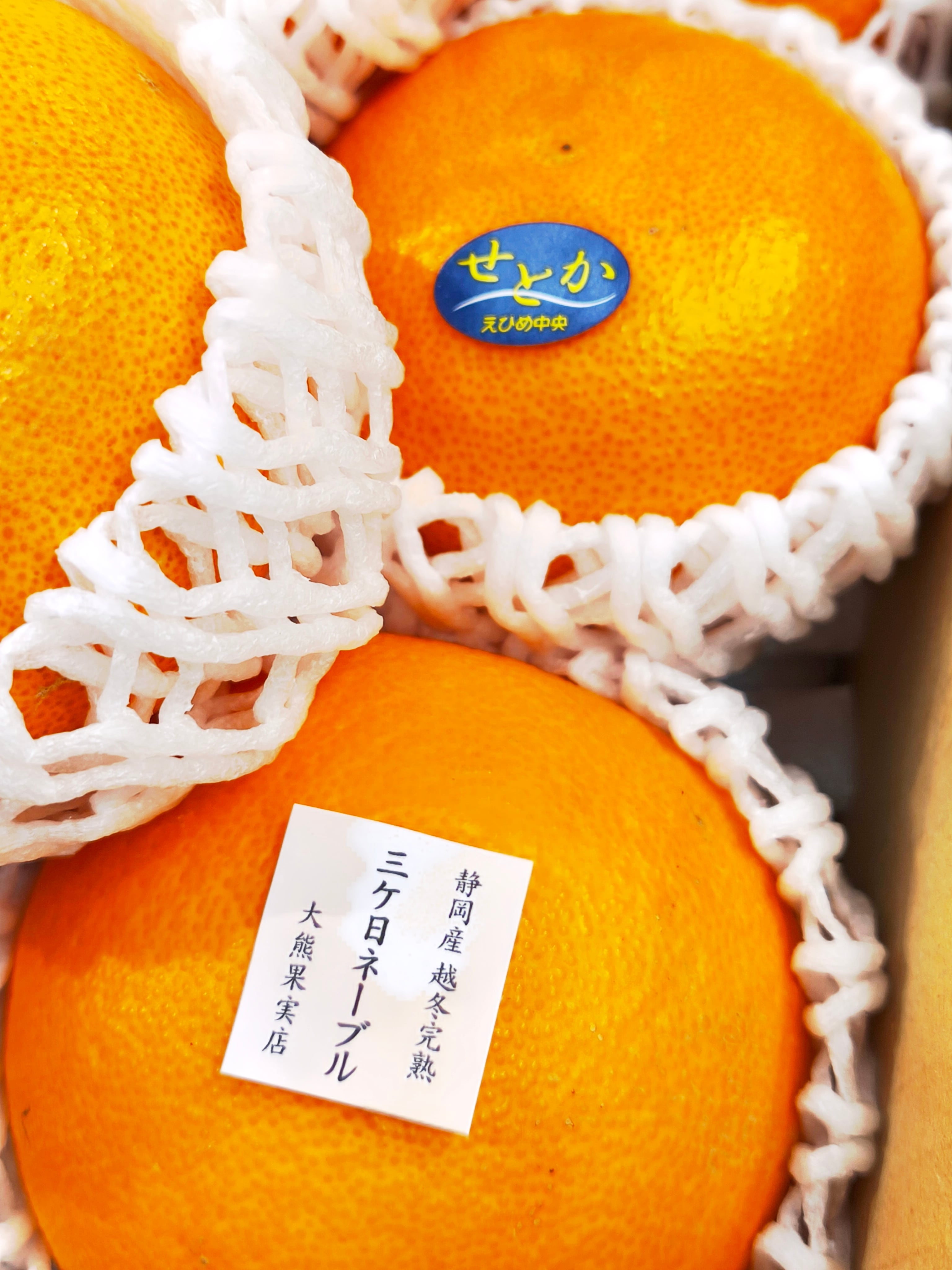柑橘玉手箱登場 贅沢な食べ比べしてくださいね 4種盛りです
