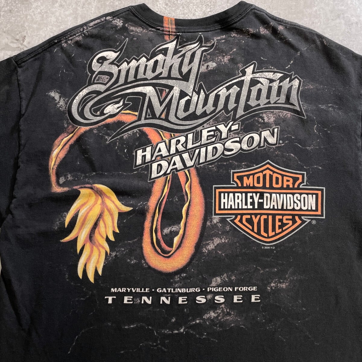 Harley-Davidson ハーレーTシャツドラゴン2XL 00年代 USA製 Harley-Davidson ハーレーダビッドソン ドラゴンロード