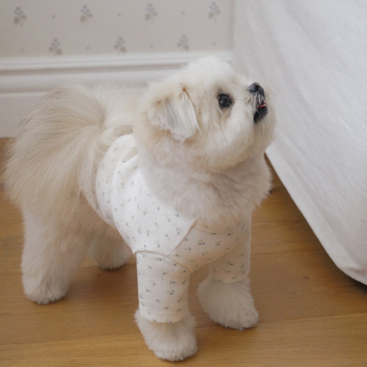 【予約】[ togethering ] Eyelet Crop T-Shirt｜Floral - 14
