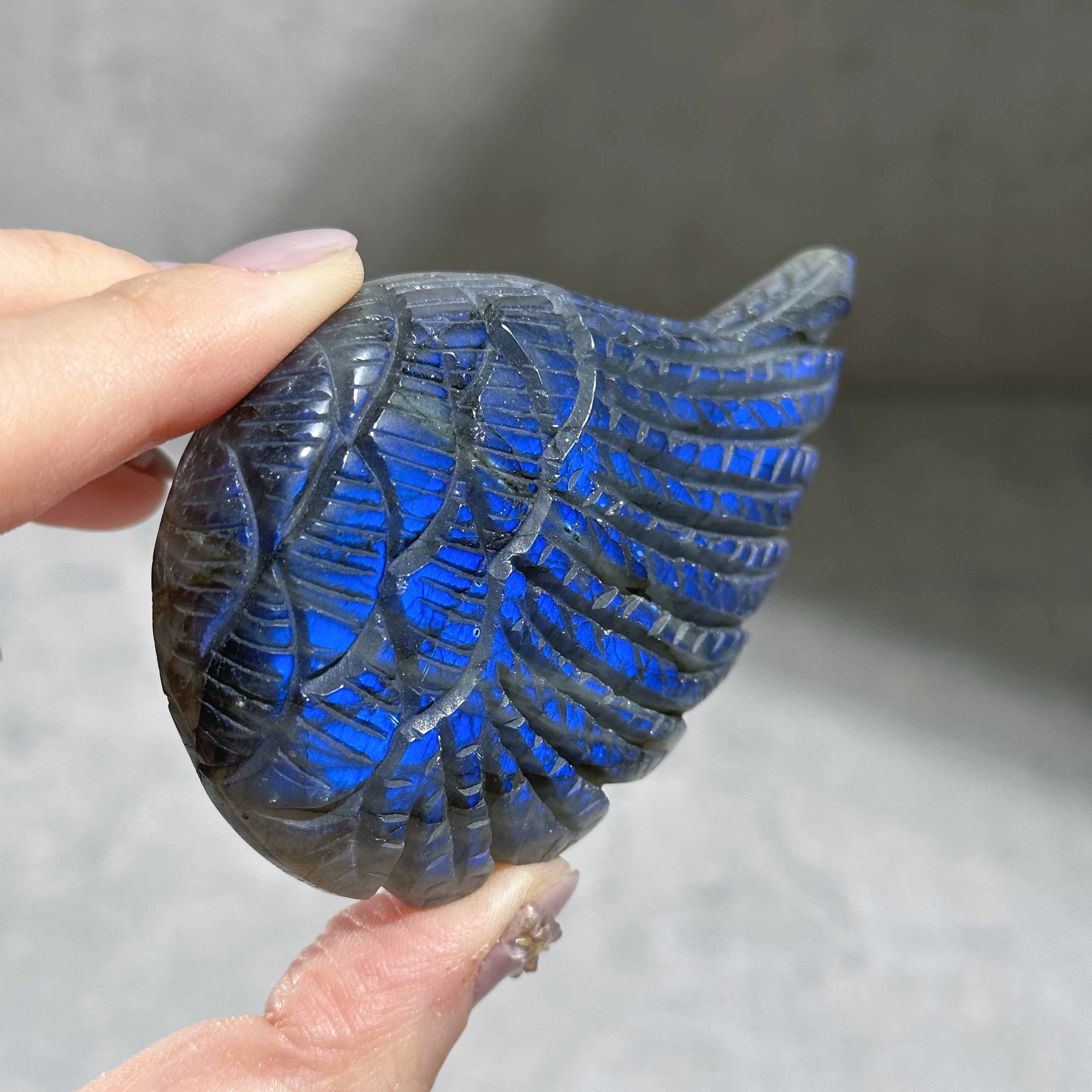 ラブラドライト エンジェルウィング11◇ Labradorite ◇天然石・鉱物
