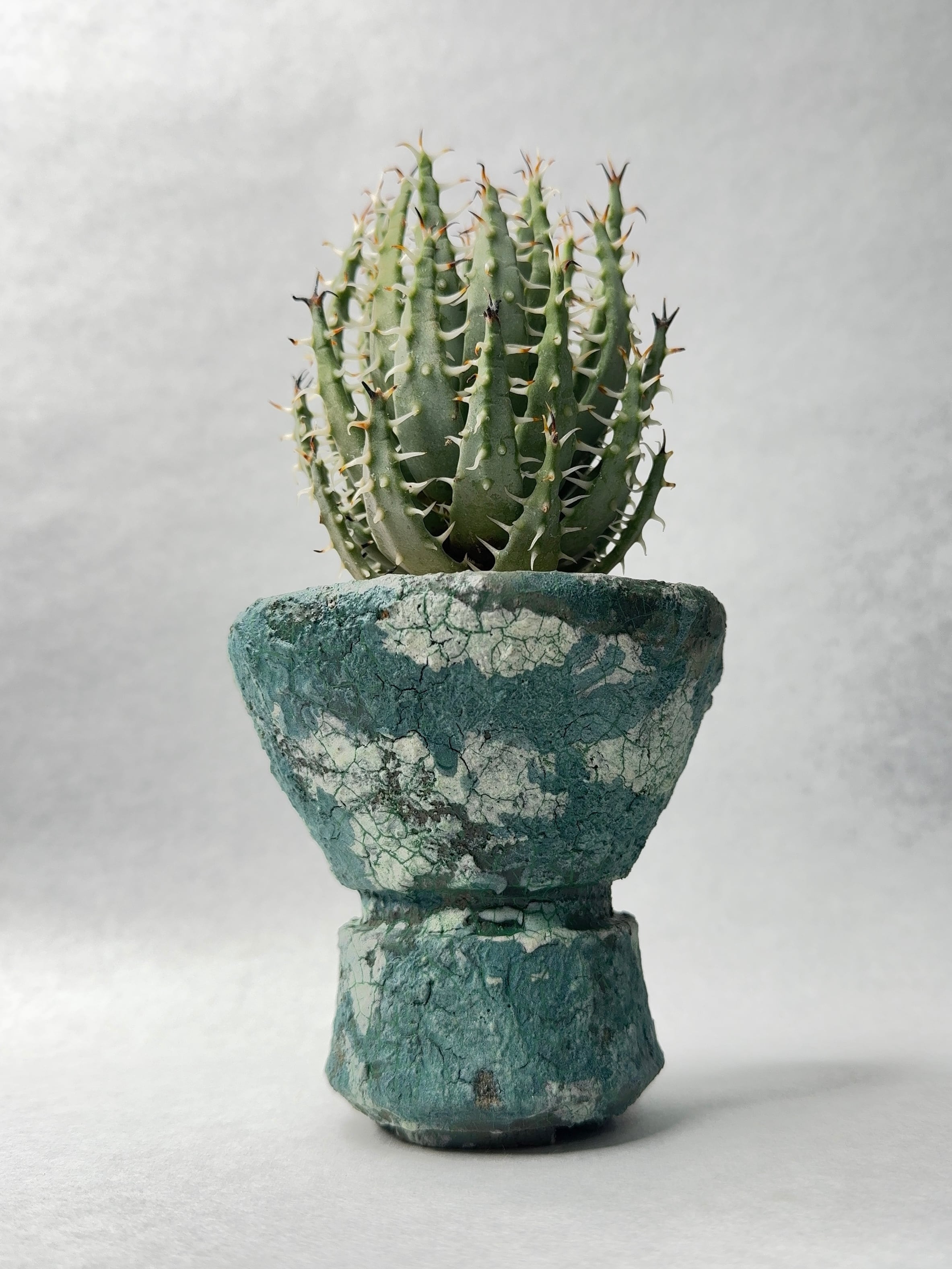 アロエ・エリナケア | trigger