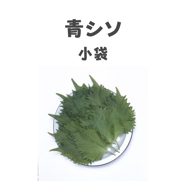 青シソ　シソ種子・小袋