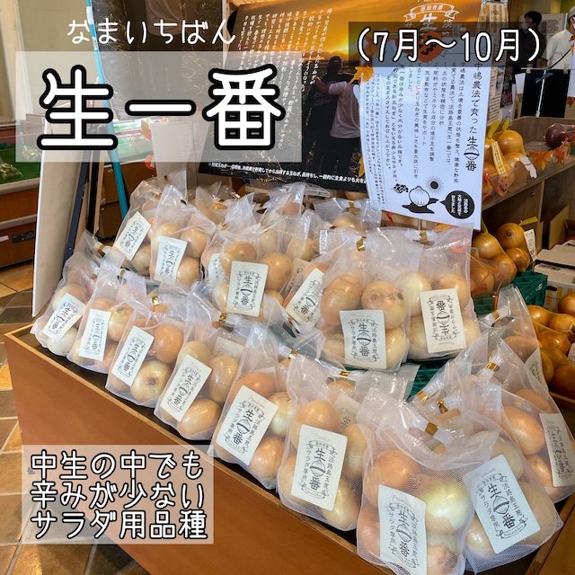 淡路島玉ねぎ　生一番　５kg  送料・税込み