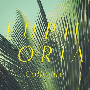 Collioure | EUPHORIA
