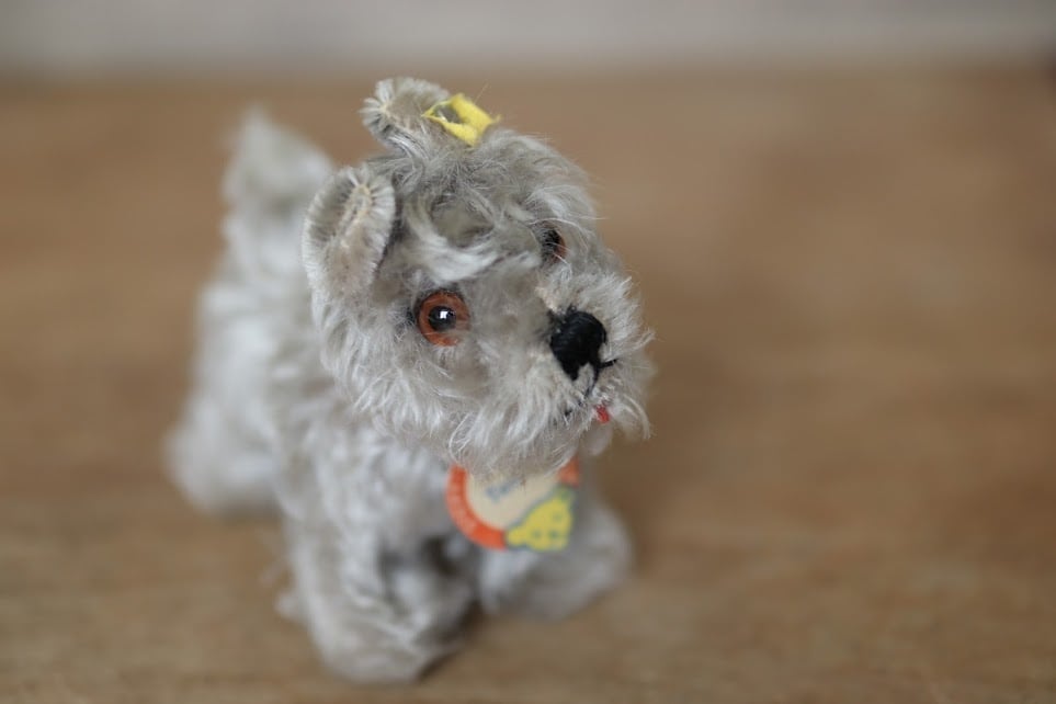 アンティーク シュタイフ 犬 シュナウザー Tessie ぷちアンティーク
