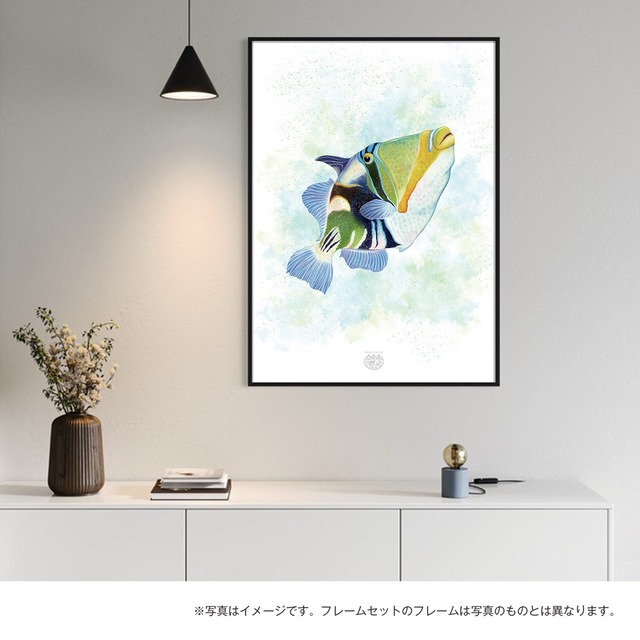 【海のいきものアートポスター／魚】ムラサメモンガラ