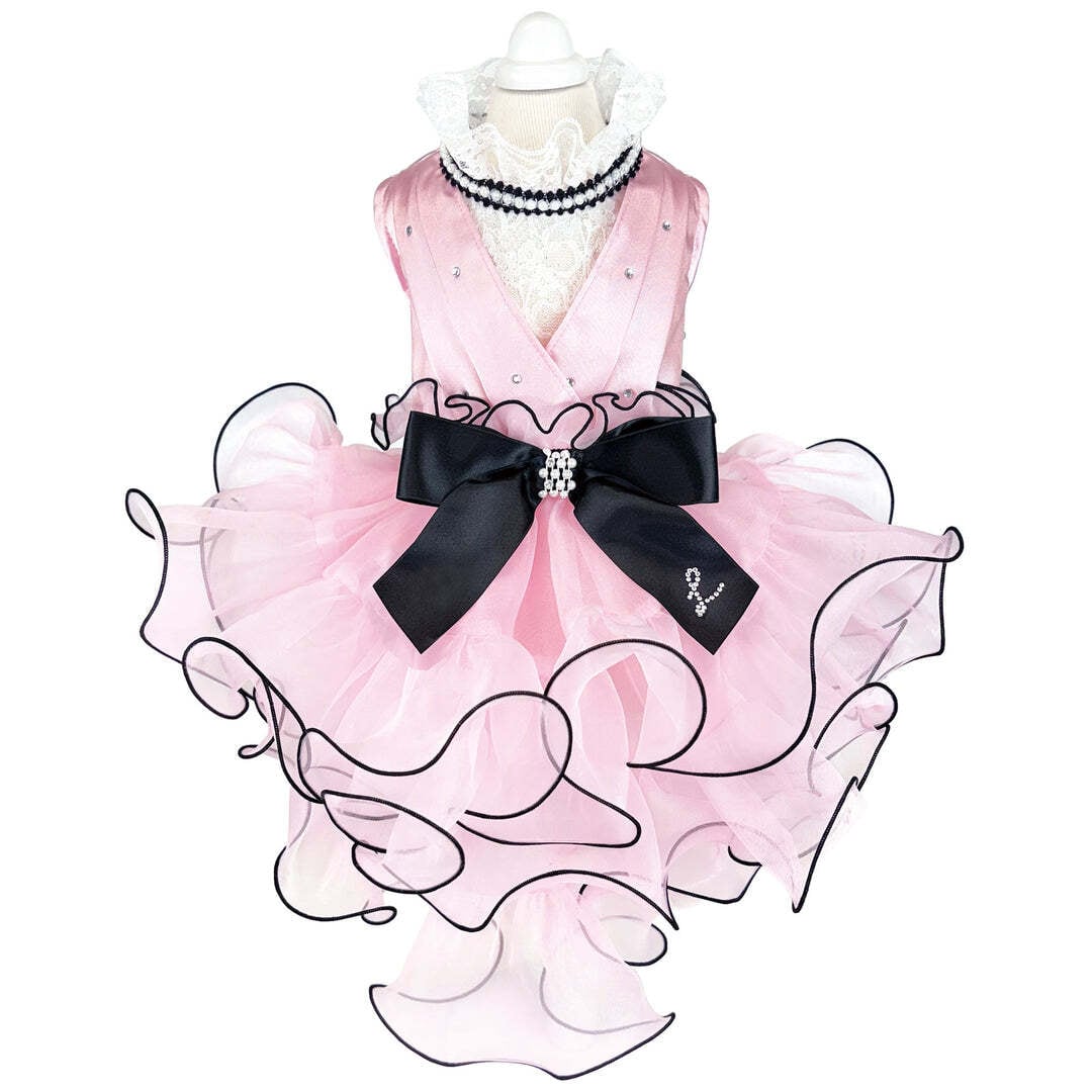 9月下旬入荷予定【Luxe birdie】ピヴォワンヌドレス | 犬の生活