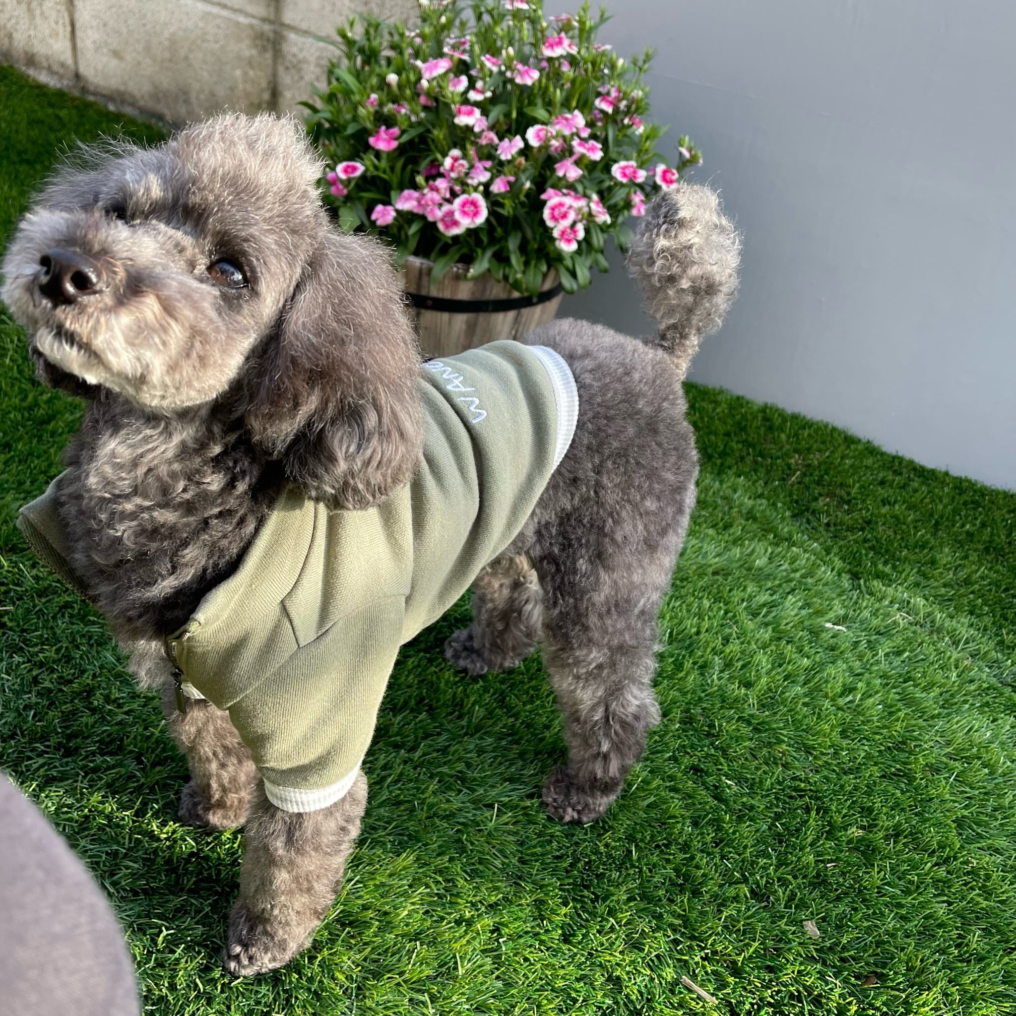 ハーフジップスウェット（抹茶犬） | wancms