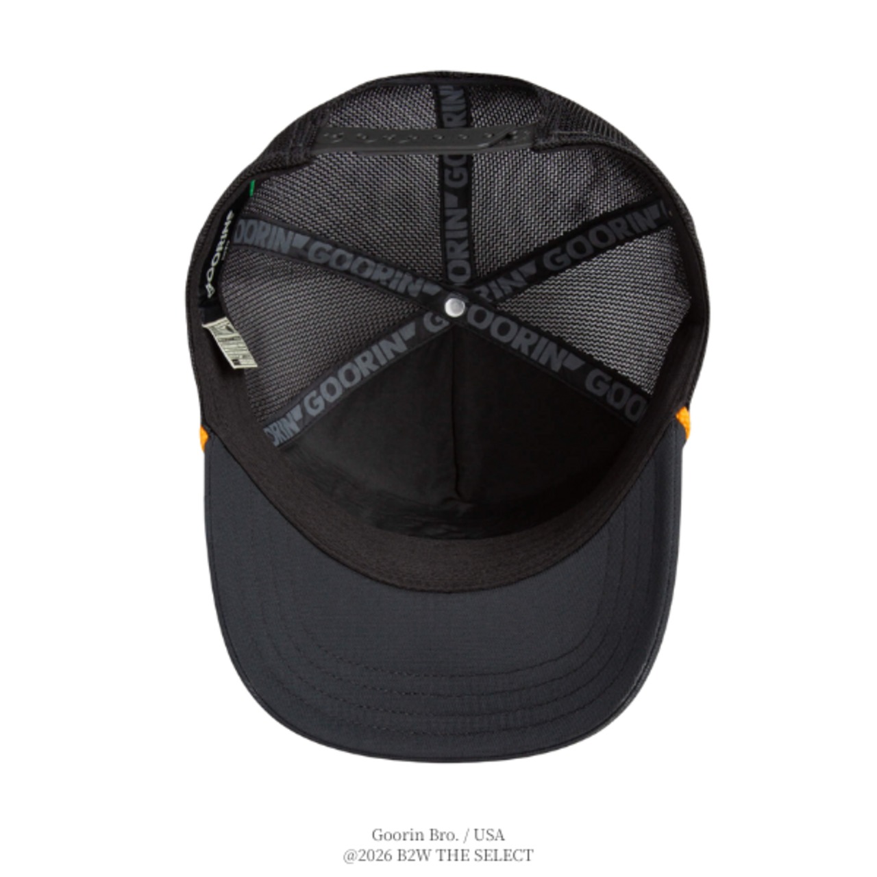 Goorin Bros. GB2 Lion VOID VOID - 6