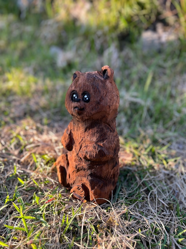 クマさん7