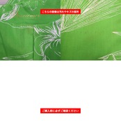 フラダンス 衣装 ALOHA STANDARDS アロハスタンダード ワンピース ドレス グリーン系 ホワイト系 日本製 ツートンカラー プルメリア柄 かわいい 華やか 鮮やか 明るい 黄緑 ハワイアン アロハ ハワイアンプリント フラ ダンス レッスン 練習