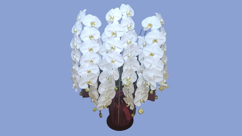 5本立て 60輪-65輪