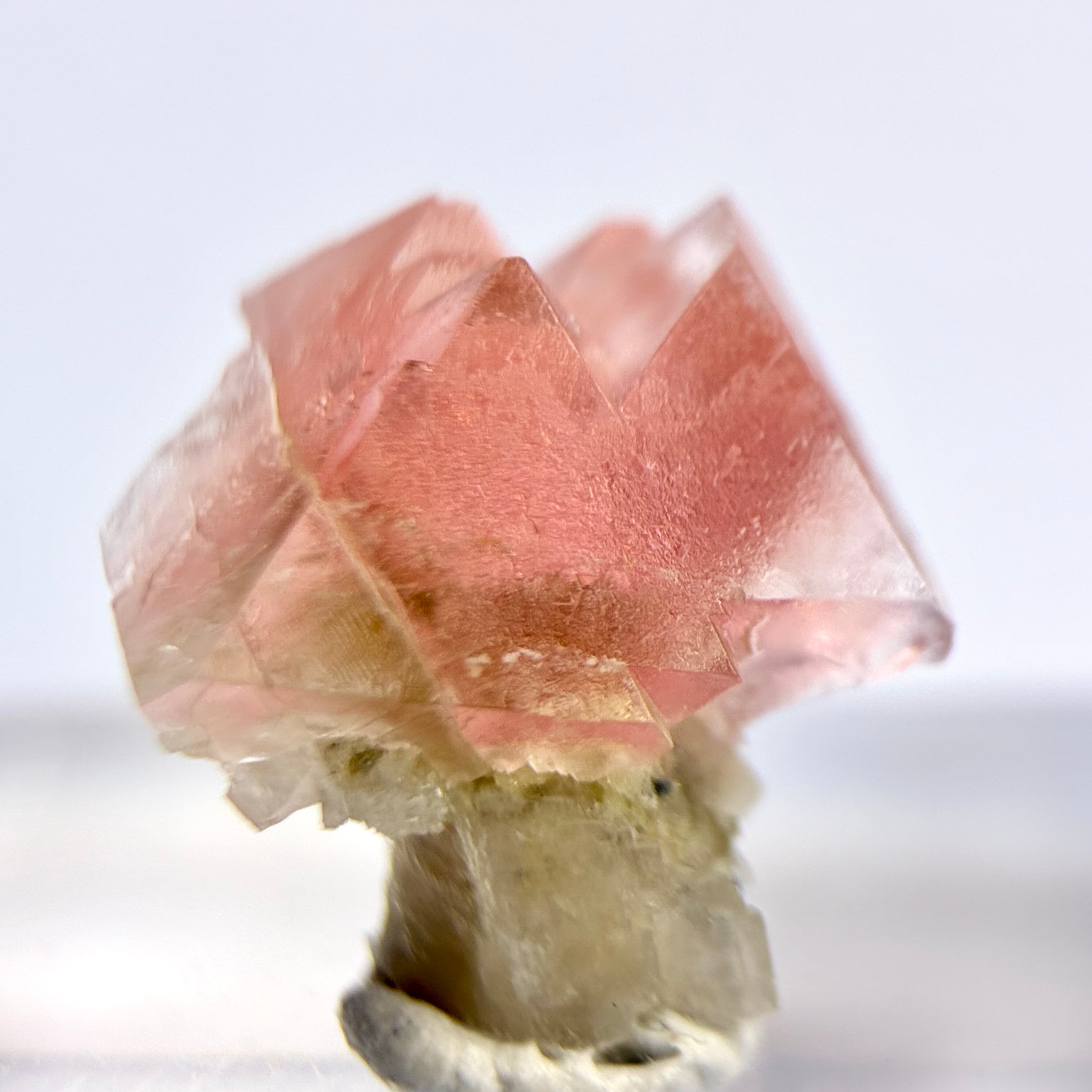 フローライト | World Minerals 世界中の鉱物原石の販売店