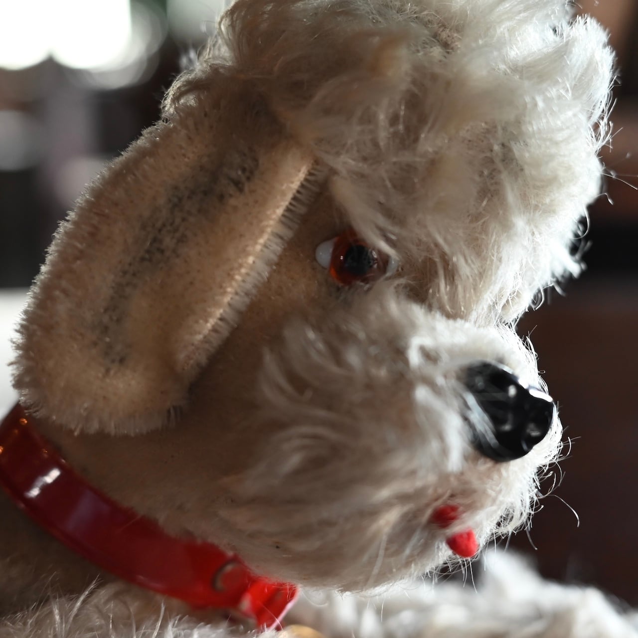 Stuffed Toy / ぬいぐるみ〈 犬・プードル・オブジェ・ディスプレイ