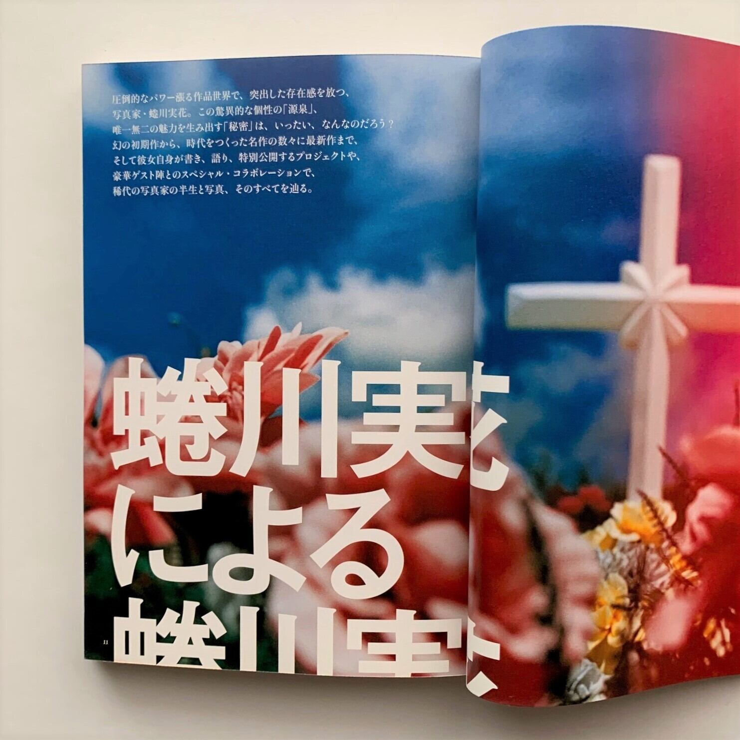 蜷川実花による蜷川実花 美術手帖915 本まるさんかくしかく 蜷川実花による蜷川実花 美術手帖915 本まるさんかくしかく