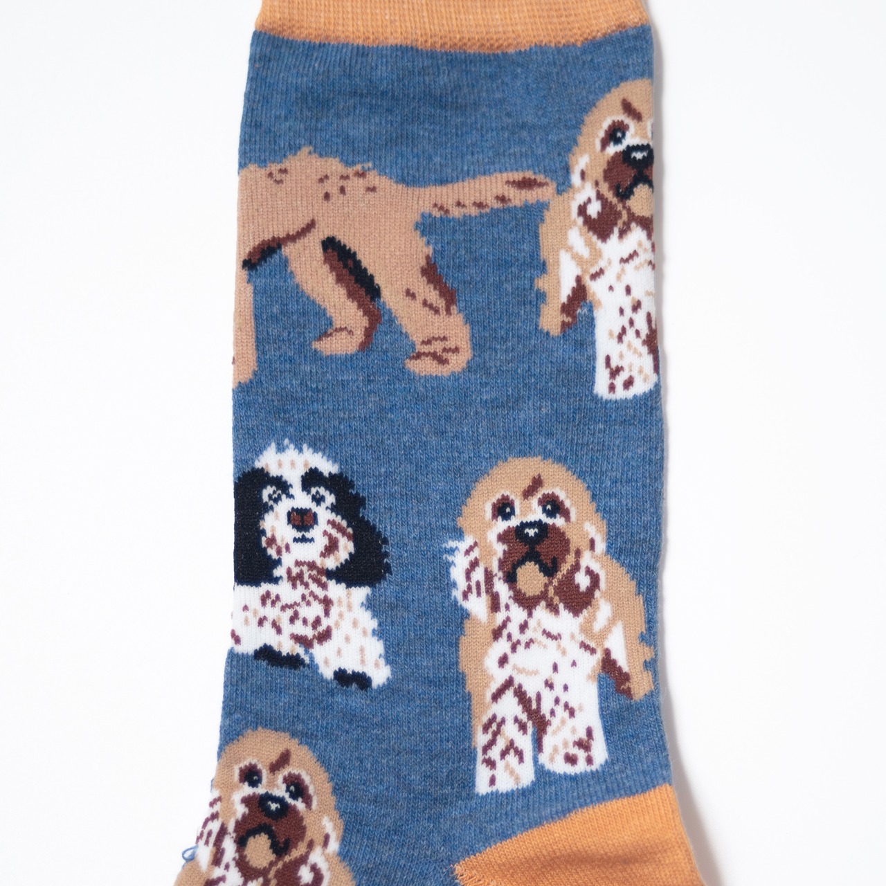 Cockapoo Socks コッカープー ソックス - 4