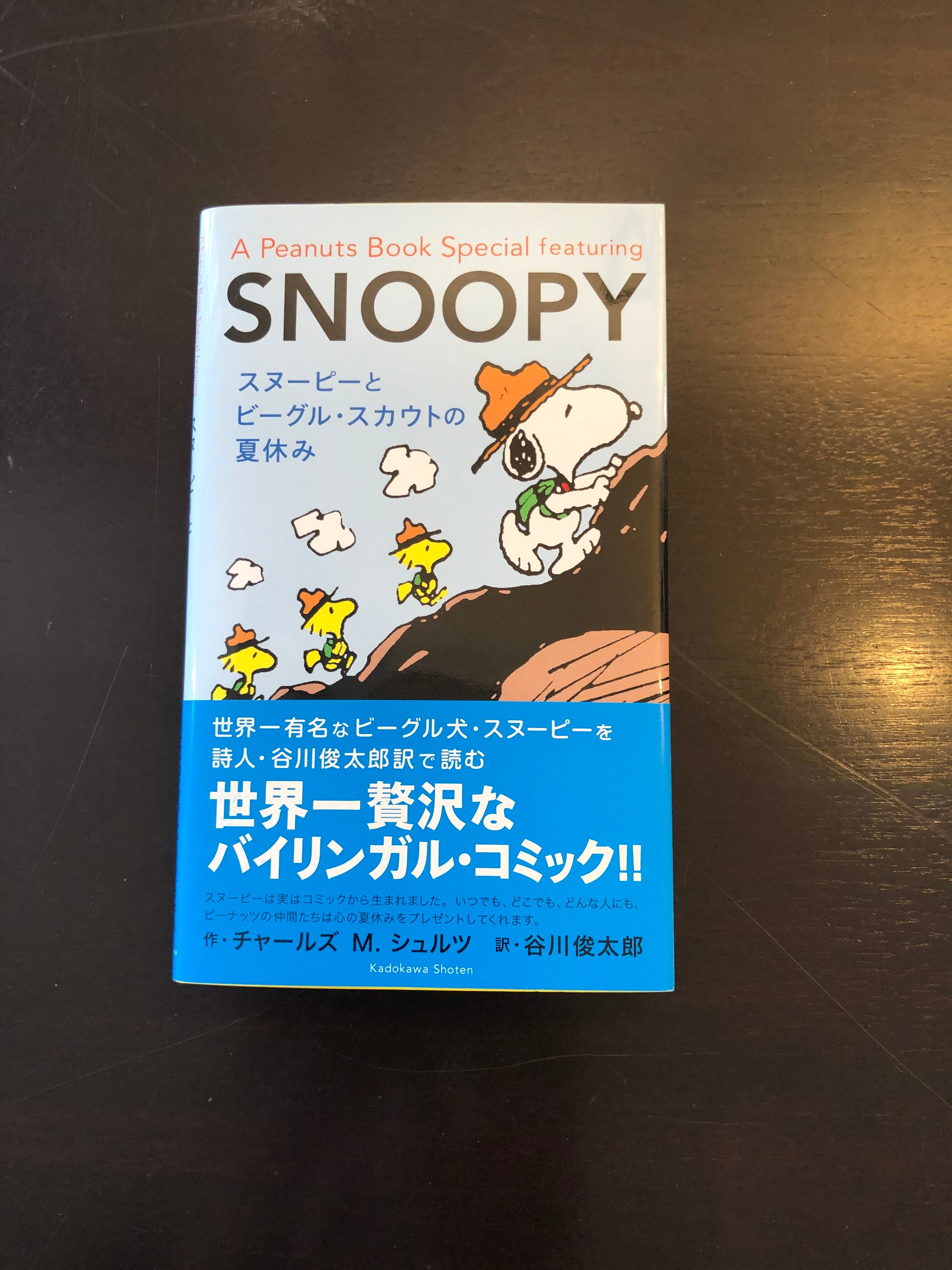スヌーピーとビーグル スカウトの夏休み 俊カフェ Online Shop