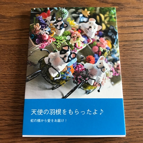 天使の羽根をもらったよ♪(虹の橋から愛をお届け)